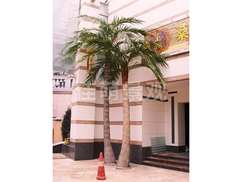 南京金盛百货装饰城椰子树